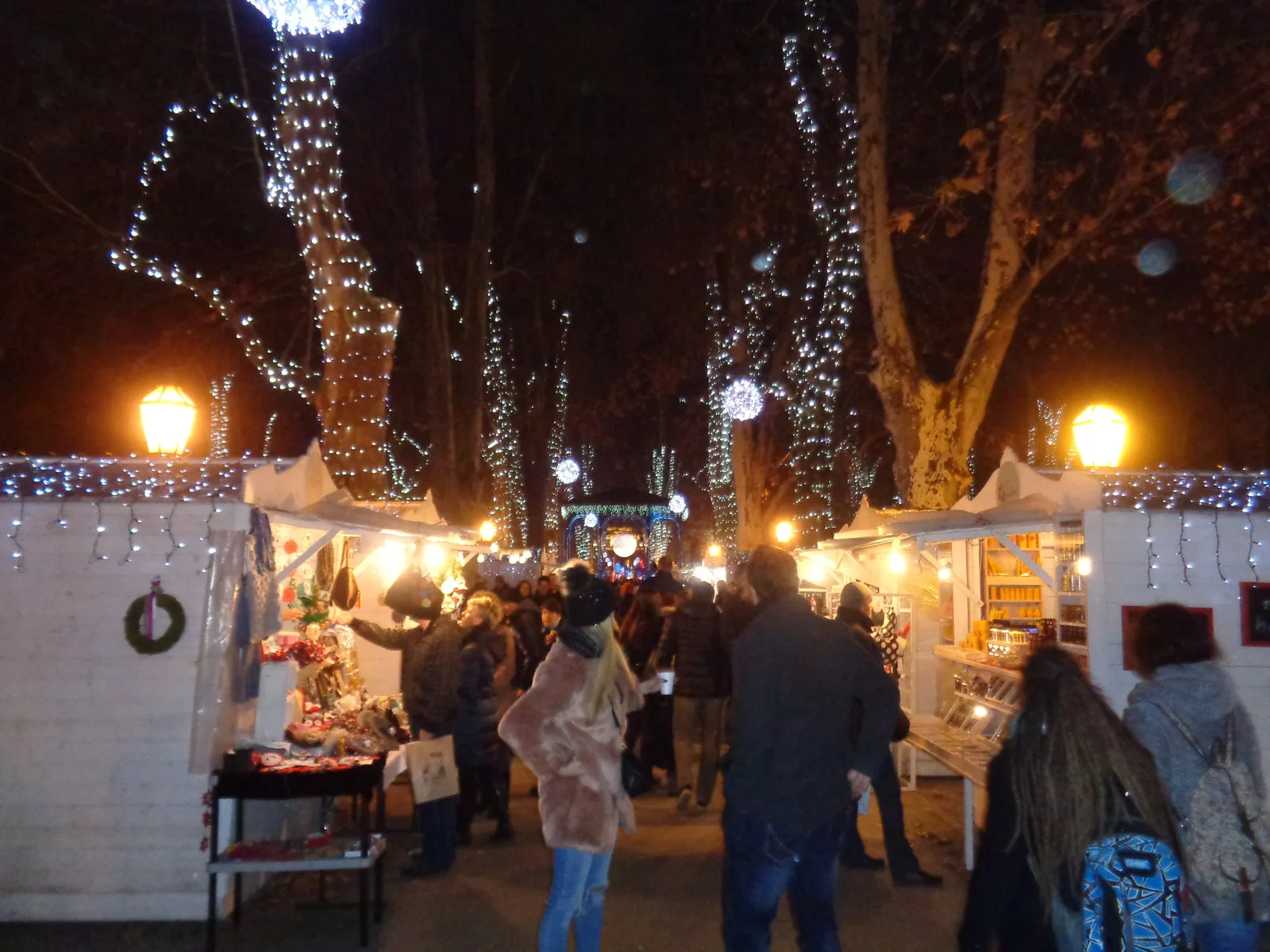 Christmas lights and market cabins beneath the plane trees in Zrinjevac park