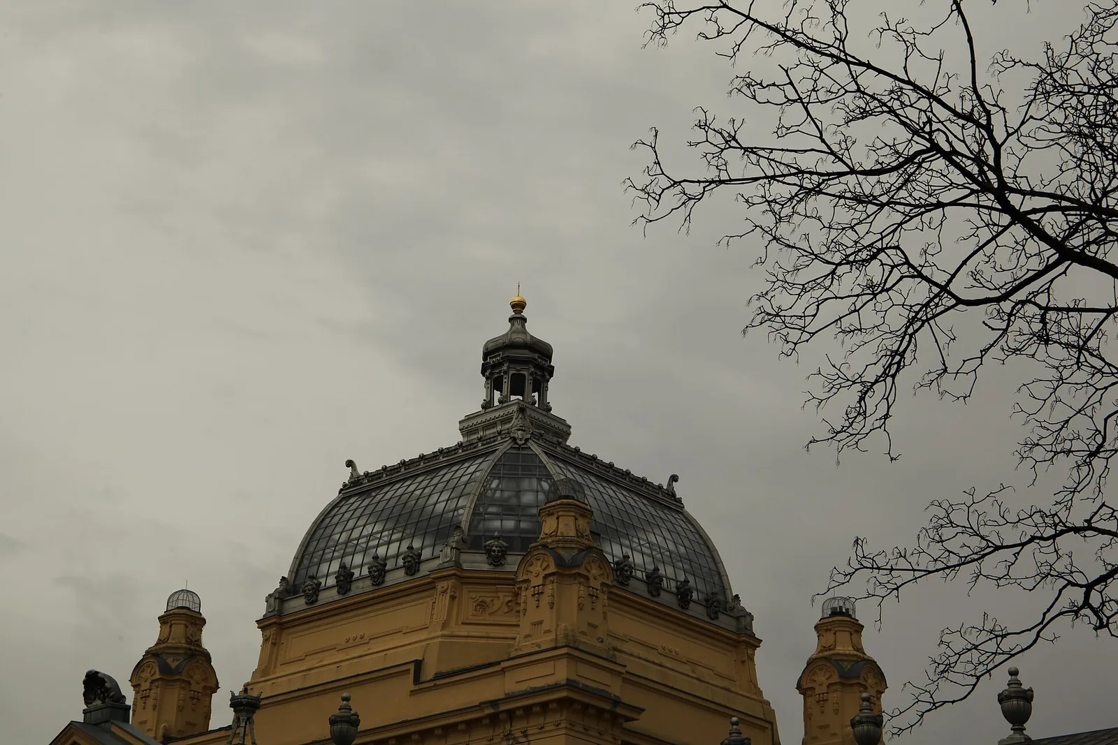 Dark metal cupola of the Art Pavilion framed by bare tree branches