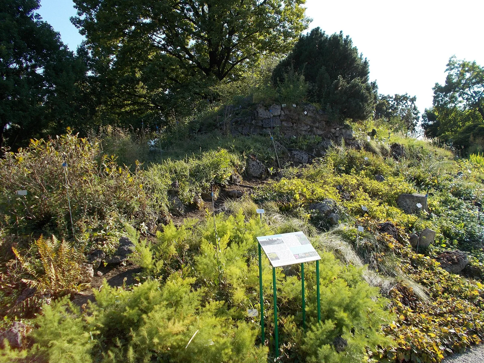 Labelled rock-garden collection planted on a low slope in Zagreb Botanical Garden