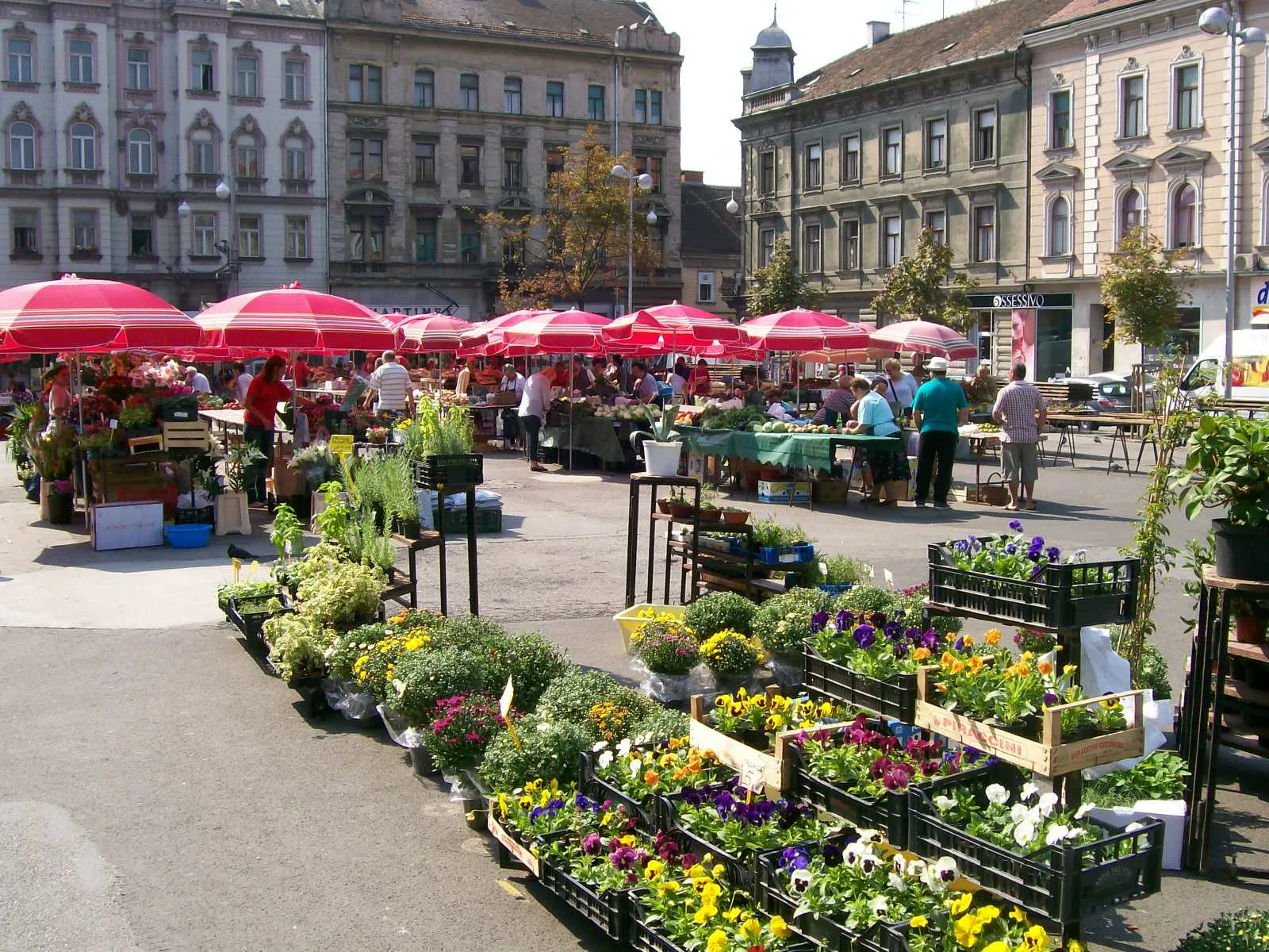 Flower and produce stalls with red parasols on Britanski trg