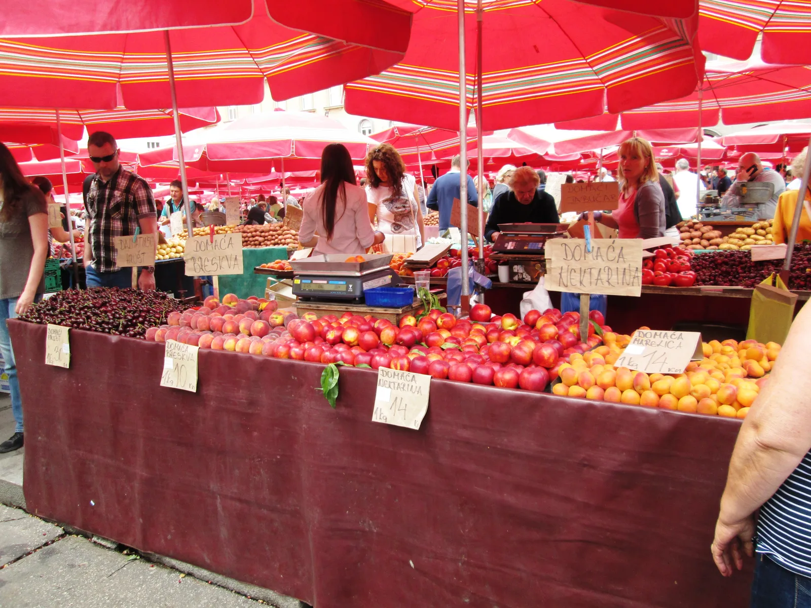 Colourful produce displayed at Dolac Market in Zagreb