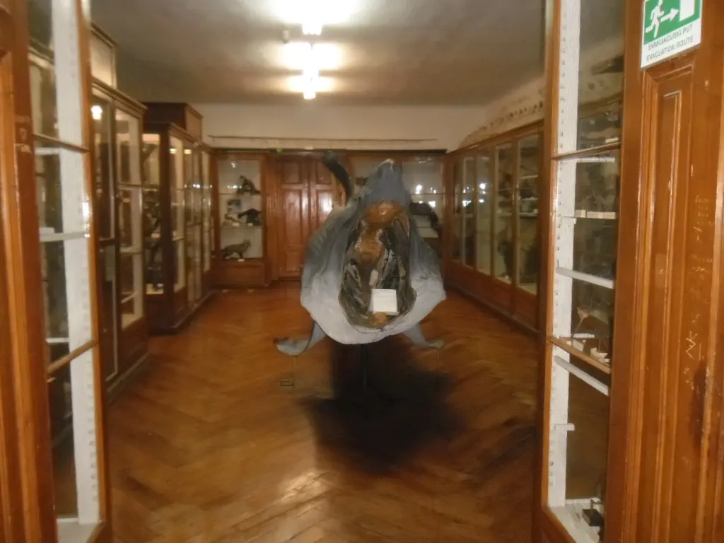 Former Croatian Natural History Museum gallery before reconstruction