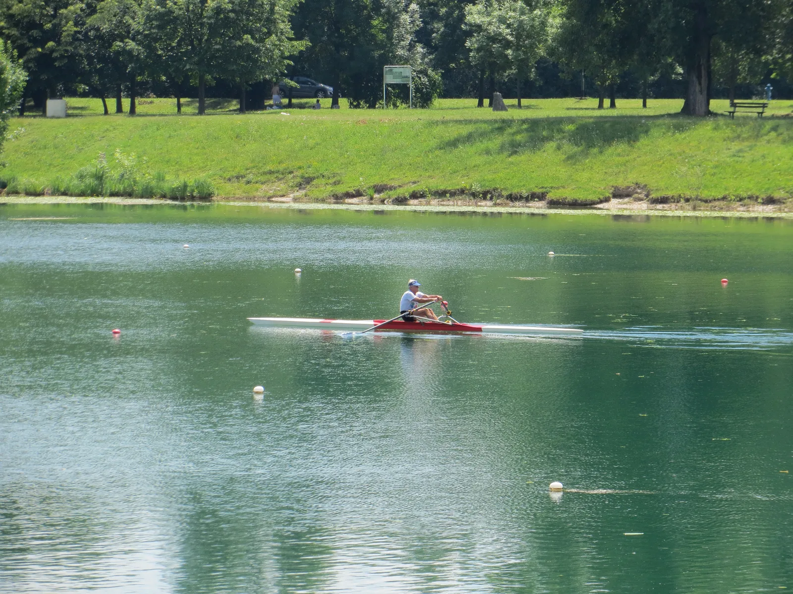 Single sculler rowing across the green water of Jarun Lake