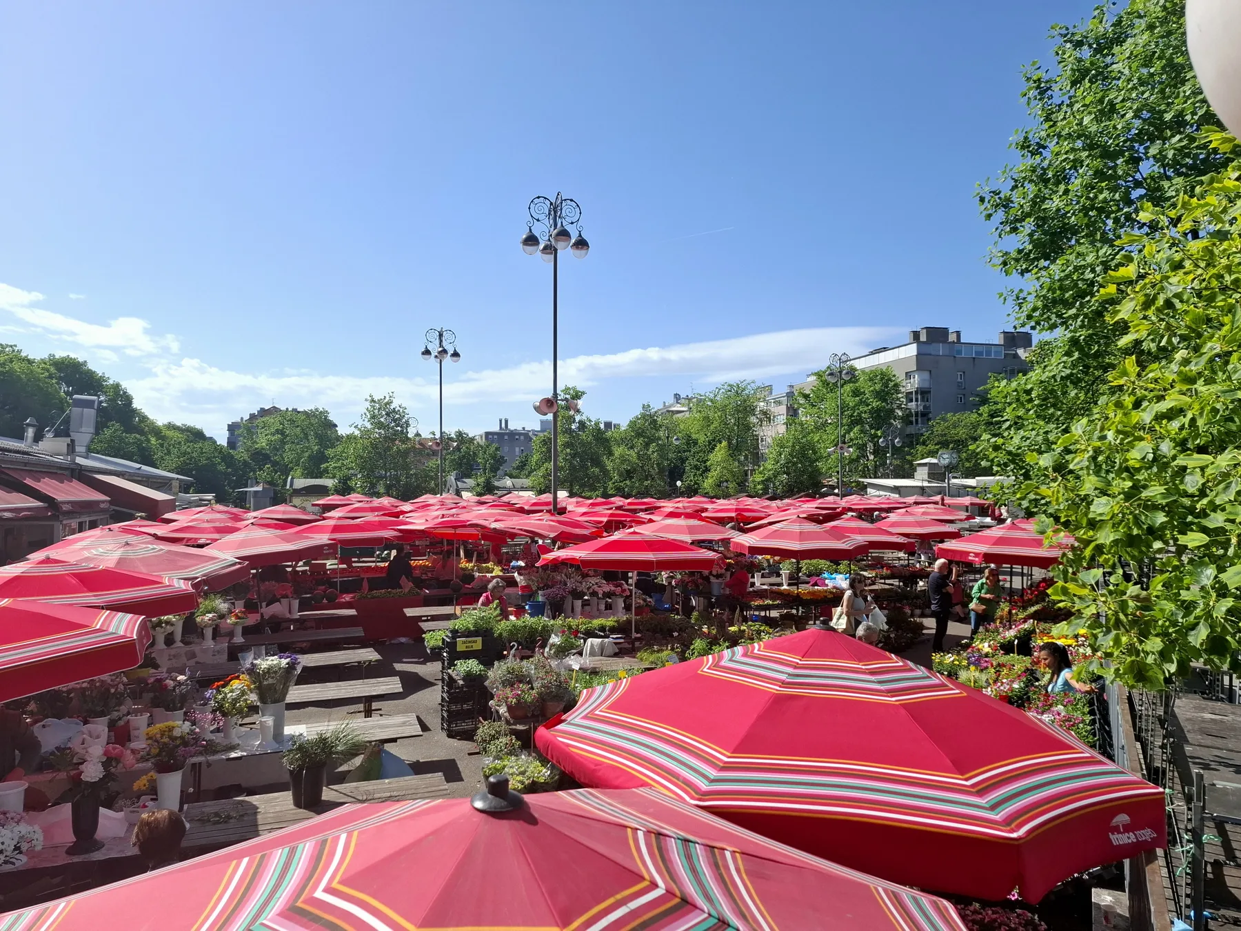 Dense red parasols above produce stalls at Kvatrić market in May 2025