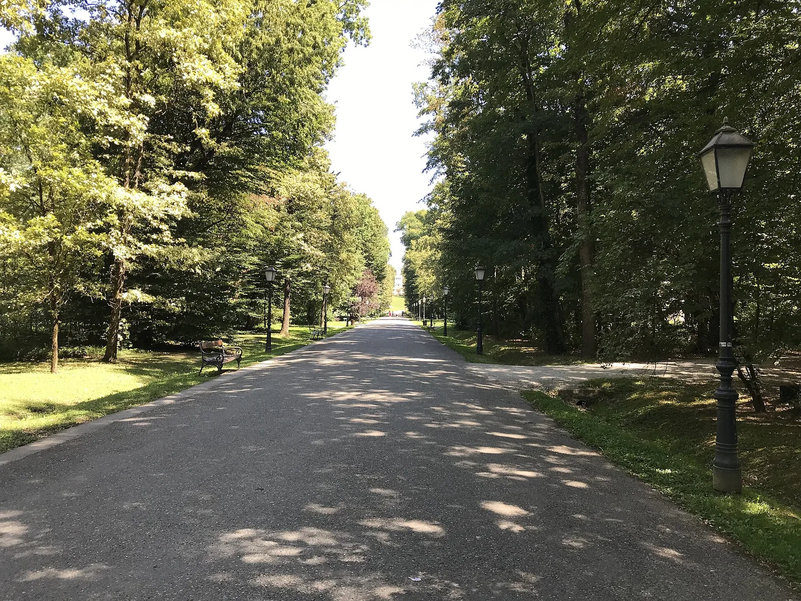 Broad tree-lined main path through Maksimir Park in 2025
