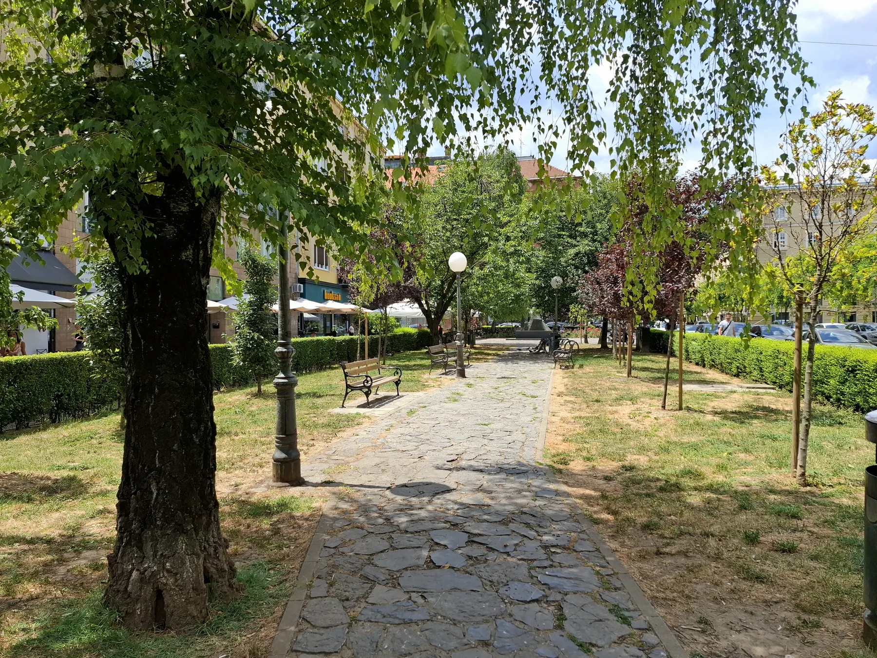 Tree-lined path and benches in Grgo Martic Park in 2025