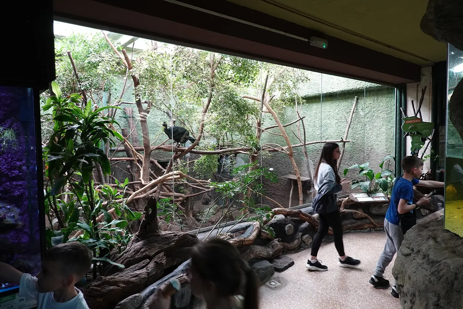 Visitors observing a planted primate habitat inside Zagreb Zoo