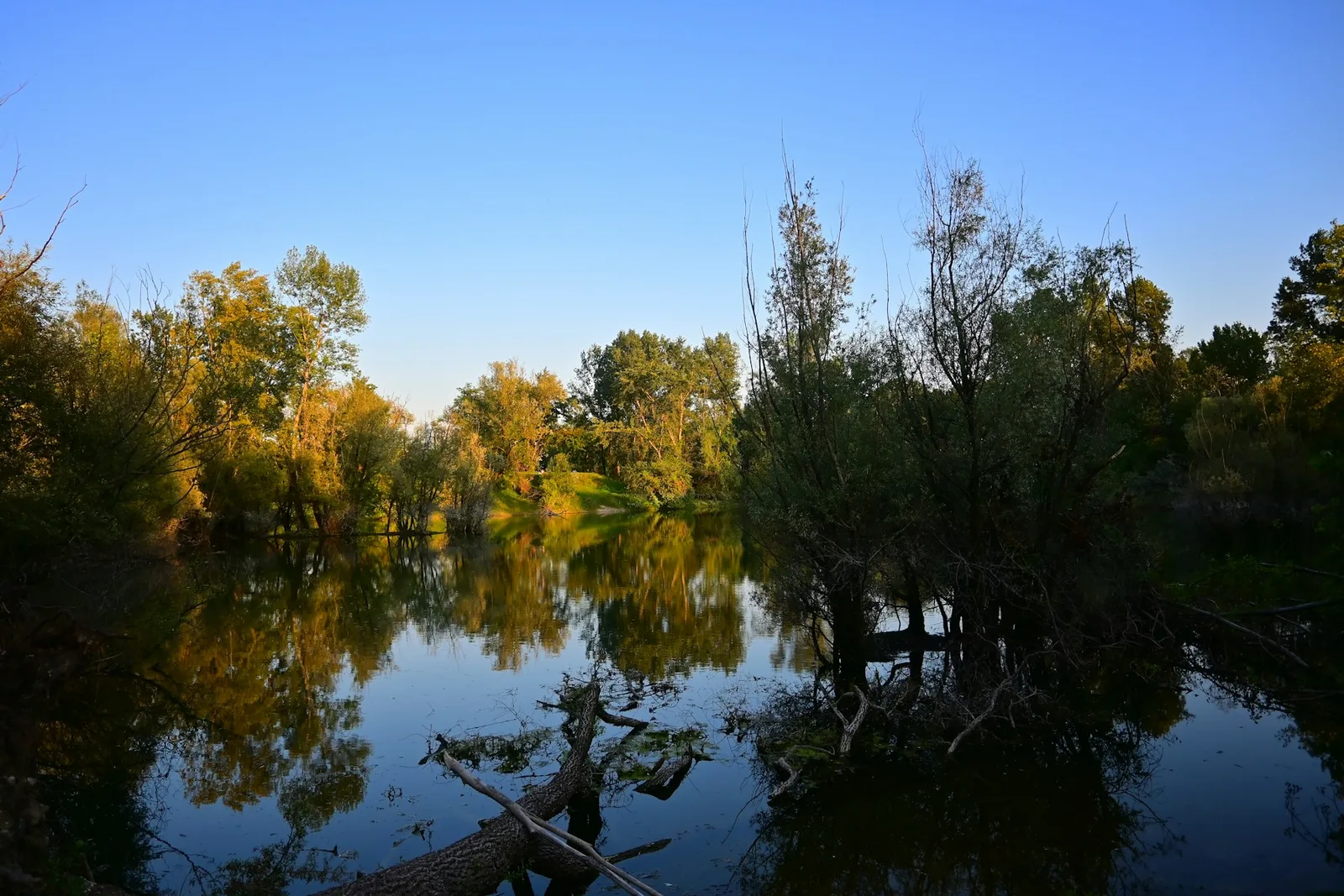 Still water and autumn trees at Bundek Park in Novi Zagreb