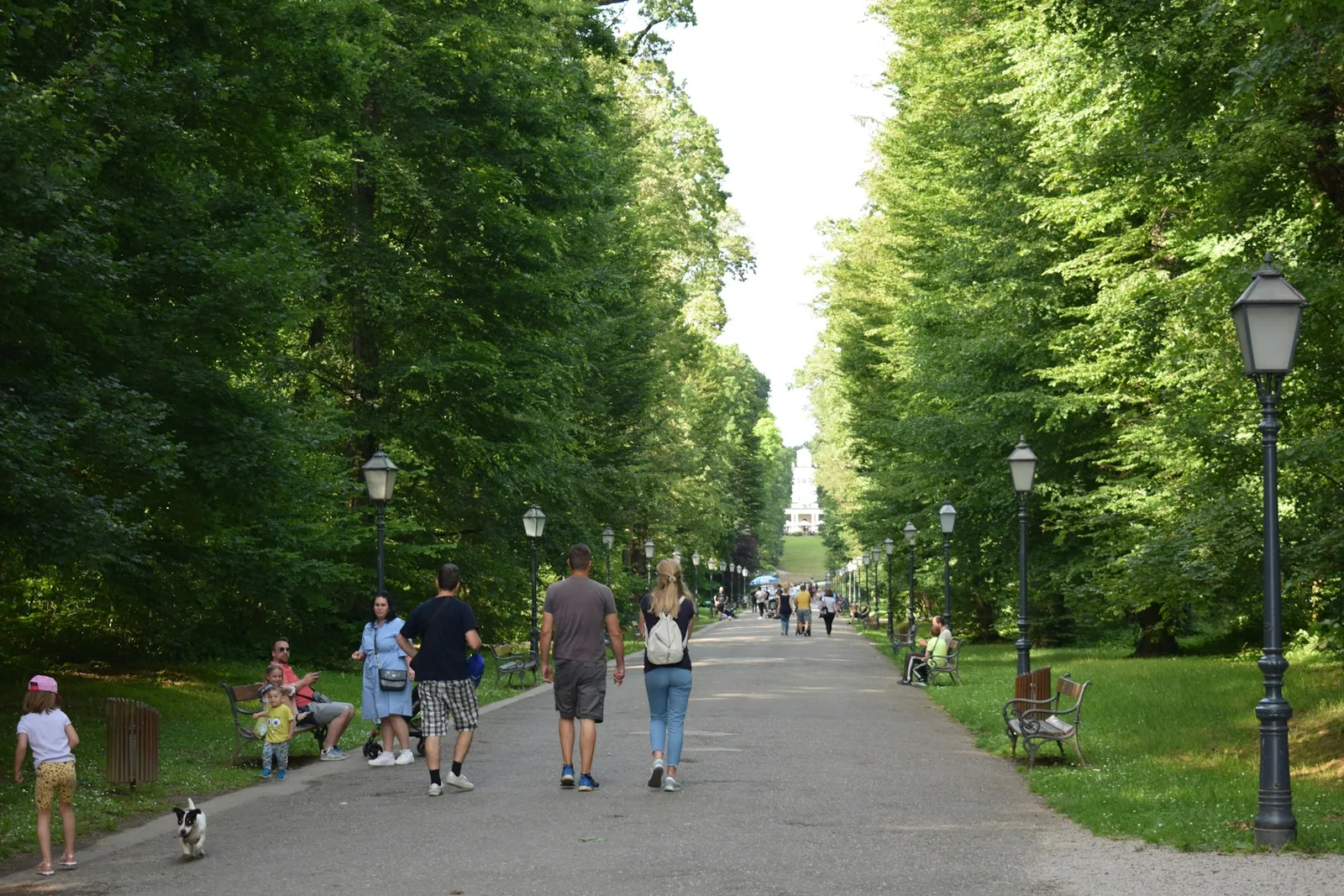 People walking along a tree-lined avenue in Maksimir Park